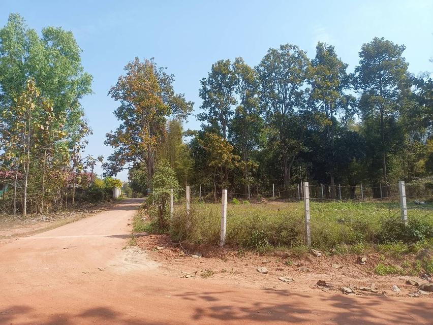 ขายที่ดินเปล่า  1  งาน  ต.ท่าวังทอง เมืองพะเยา 5