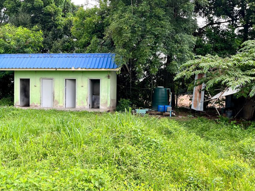 ขายที่ดินทำเลทอง ติดถนนใหญ่ 208