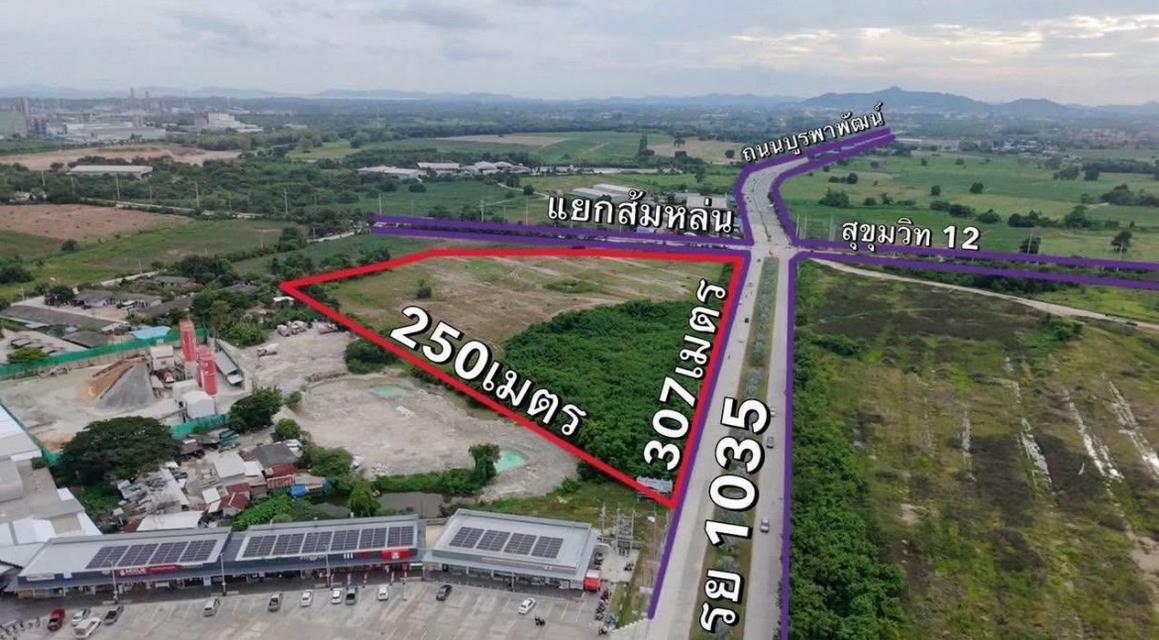ขายที่ดินผังม่วงลาย อ.เมืองระยอง จ.ระยอง 6