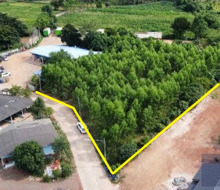 ขายที่ดินกรอกสมบูรณ์ 2 ไร่ ซอยโรงเรียนดาราวัฒนา ใกล้นิคม304-4กม. อ.ศรีมหาโพธิ ปราจีนบุรี 1