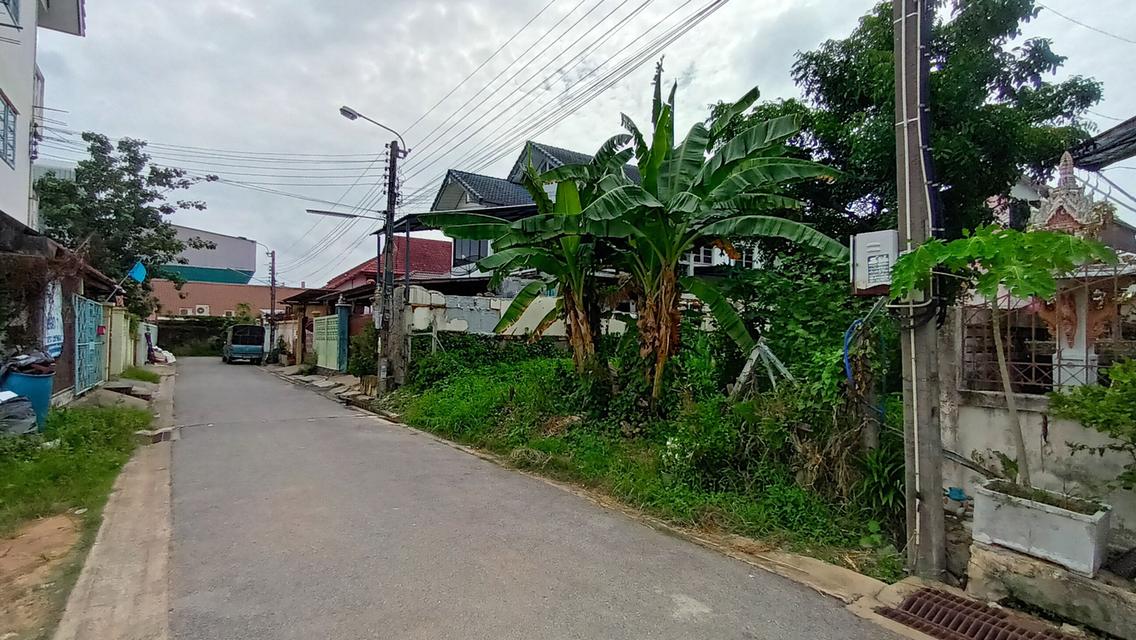ขายที่ดิน 3
