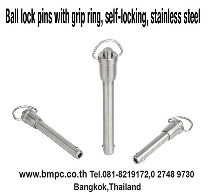 steel ball plunger, stainless steel ball plunger, slot spring plunger 6