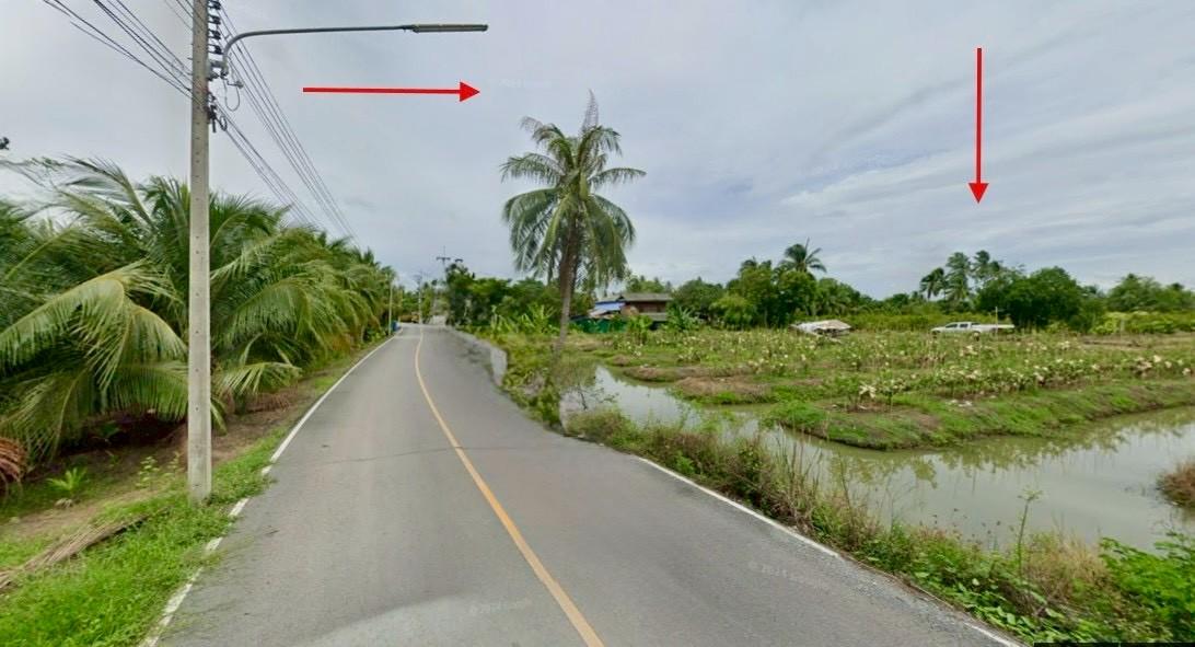 ขายที่ดินสวนผลไม้ อำเภอสามพราน ตำบลคลองจินดา นครปฐม 25 ไร่ (N.1737) 7