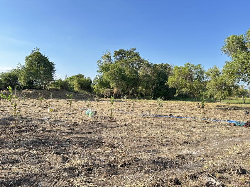 ขายที่ดินแปลงสวย วิจิตราธานี บางนา–ตราด  เนื้อที่ 230 ตร.ว ต่ำกว่าราคาประเมิน คุ้มค่ามาก 7