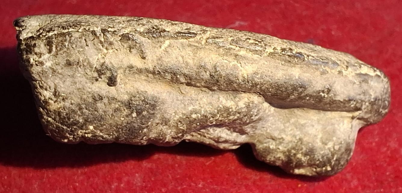 หลวงปู่ทวด เนื้อว่าน พิมพ์พระรอด ปี2497 รูปที่ 7