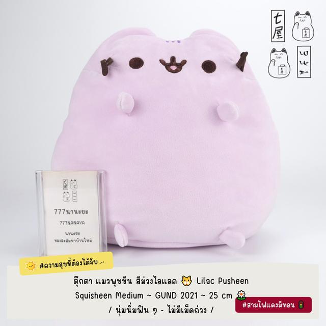 ตุ๊กตา แมวพุชชีน 🐱 GUND ~ Pusheen the Cat ~ Plush & Keychain ~ รวมงานสะสมค่ายดัง 🐾 รูปที่ 3