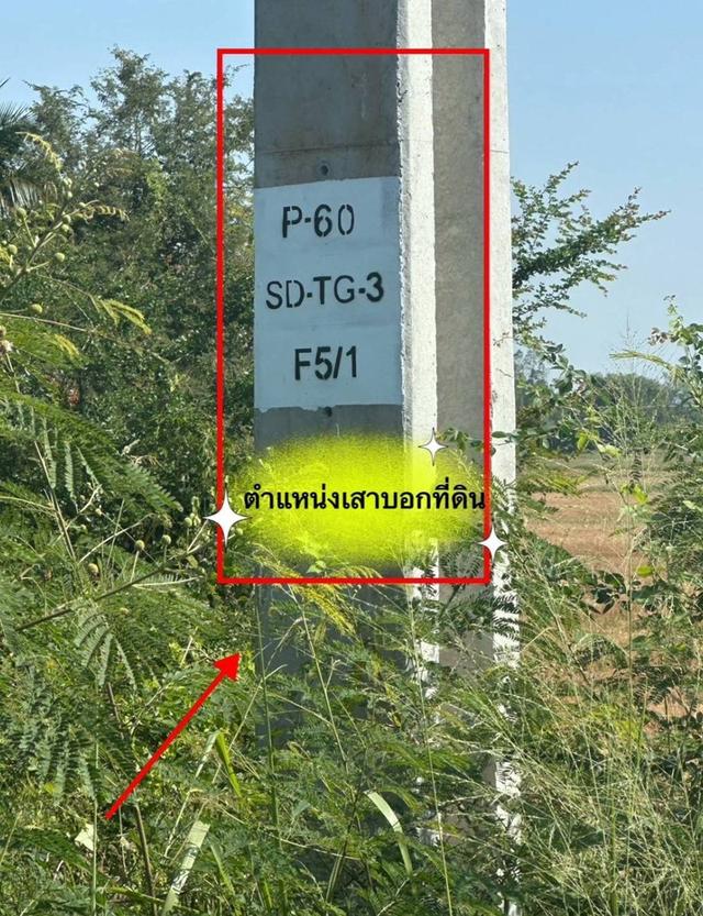 ขายที่ดิน 11 ไร่ 41 ตร.ว. ติดถนน โพธาราม- จังหวัดราชบุรี 3