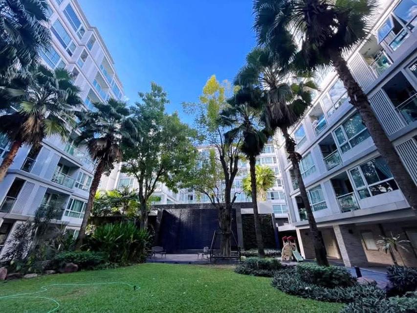 คอนโดให้เช่า-For Rent 9