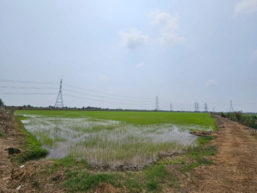 ขายที่ดิน 300-1-18 ไร่ ที่ดินเป็นนา คอลง27 จ.พระนครศรีอยุธยา 6