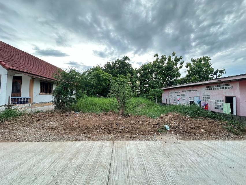 ที่ดิน 5