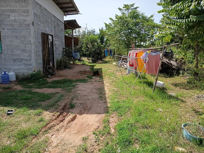 บ้านพร้อมที่ดิน 1งาน 62 ตรว.ติดถนนคอนกรีต 7