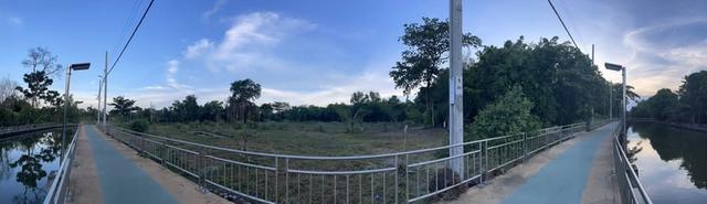 ที่ดินเปล่า บางน้ำผึ้ง 2