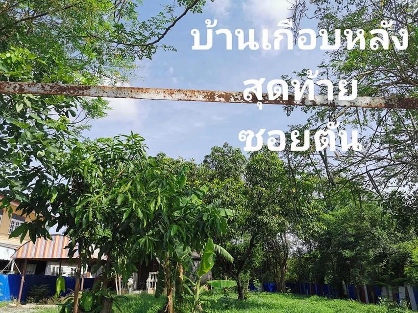ขายที่ดิน2งานราคาสุทธิ8แสน5หมื่นใกล้โรงเรียนวัดบ้านยางเสาไห้สระบุรีติดต่อ0934415691KERK 14
