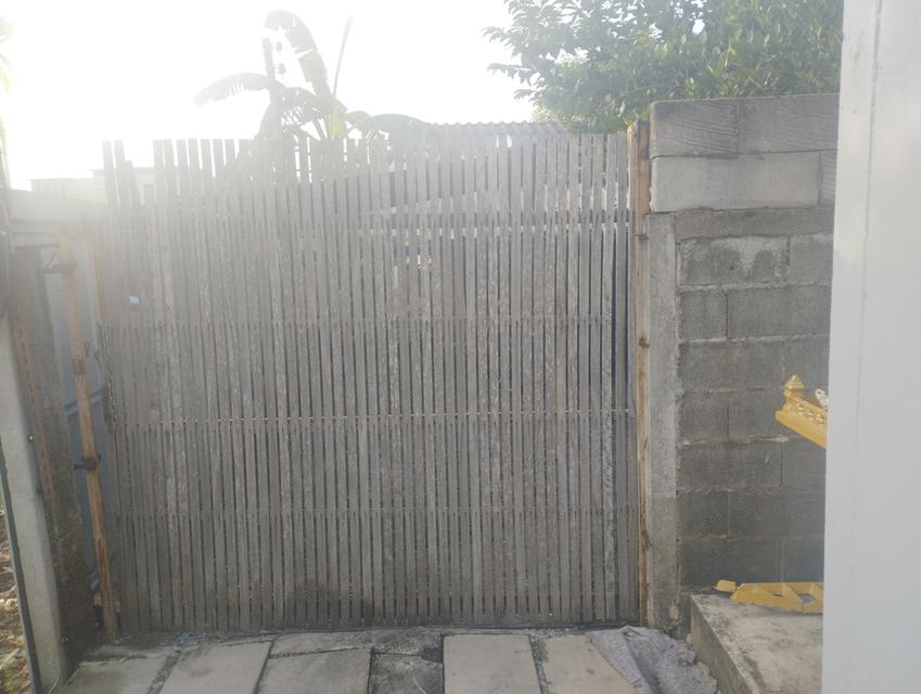 บ้านปลูกเอง 50ตรว. 2