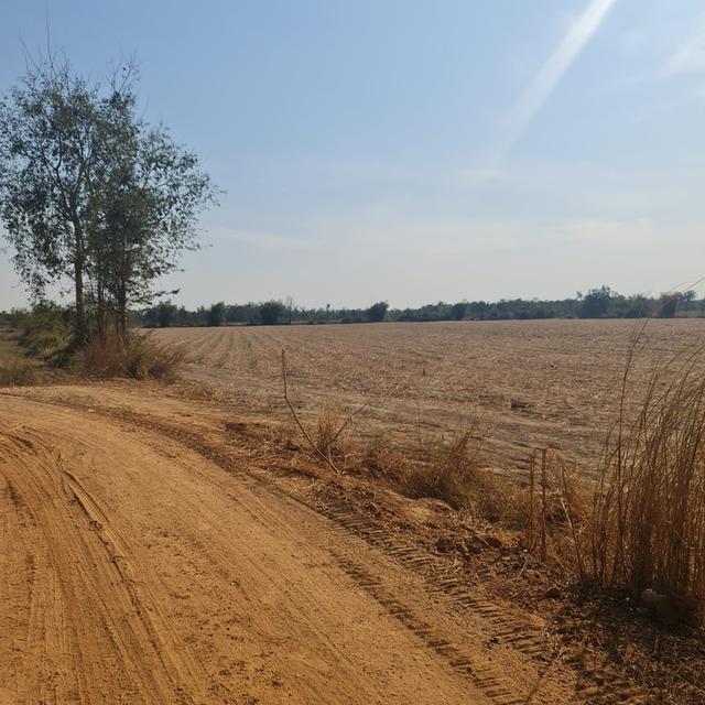 ขายที่ดิน 45 ไร่ พื้นที่เขตเศรษฐกิจพิเศษสระแก้ว 3