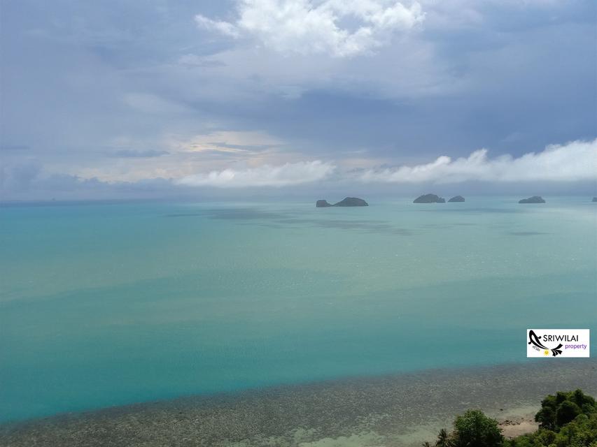 ขายที่ดิน24ไร่ ติดทะเลชายหาดพร้อมซีวิวหมู่เกาะน้อยใหญ่ในทะเลอ่าวไทยเกาะสมุย 4