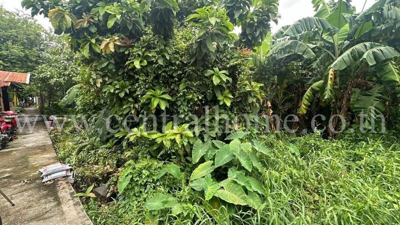 ที่ดินเปล่า พร้อมสิ่งปลูกสร้าง 1 ไร่ ถนนเลียบคลองประปา ฝั่งแจ้งวัฒนะ ทำเลดี 3
