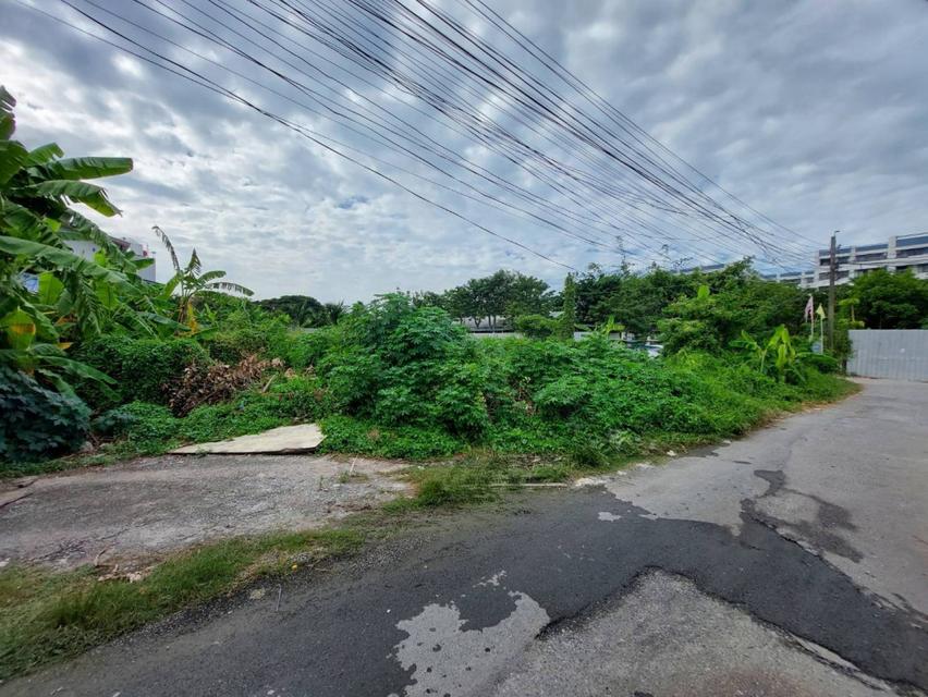 ขายที่ดิน เนื้อที่ 91 ตร.ว. ซอยอ่อนนุช 66 แยก 19-12-4 ใกล้สวนสาธารณะบึงหนองบอน 2