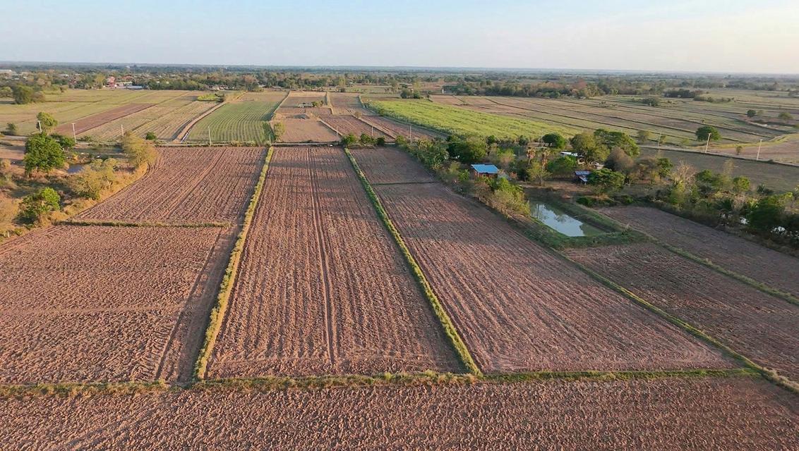 📍ขายที่นา 4ไร่ 3งาน 3.1ตารางวา หน้ากว้าง 38 เมตร น้ำไม่เคยท่วม มีไฟฟ้า น้ำปะปา ติดถนน 1