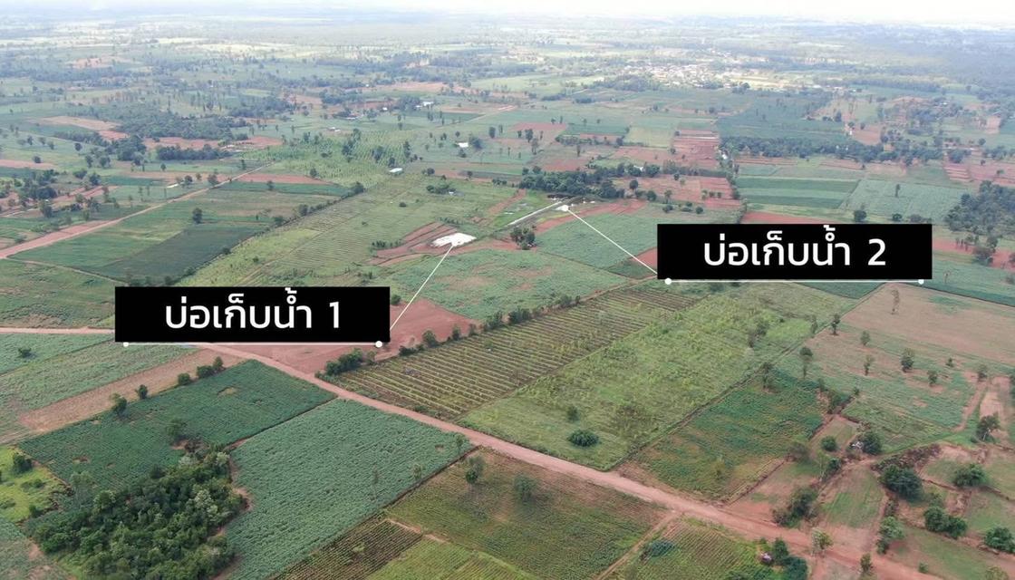 ขายที่ดิน 93 ไร่ (มีโฉนดครุฑแดง) — ไร่ละ 120,000 บาท จ.ขอนแก่น