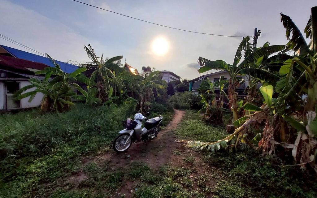 ขายที่ดินวิวแม่น้ำเจ้าพระยา 148 ตรว ติดถนนสาธารณะ ถมแล้ว ซ.วัดตาล บางตะไนย์ ปากเกร็ด นนทบุรี 2