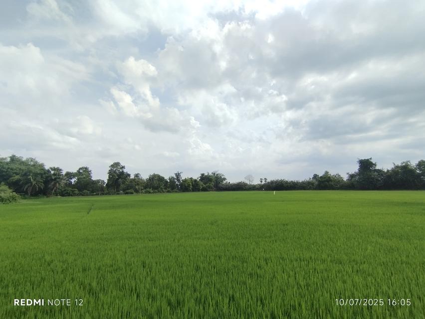 🌿ขายที่ดินริมน้ำบางปะกง9ไร่ ข้าง รพ.สต.บางแตน อ.บ้านสร้าง ฮวงจุ้ยดีเยี่ยม “ถุงทอง” ปากแคบ–ก้นกว้าง เก็บทรัพย์ 8