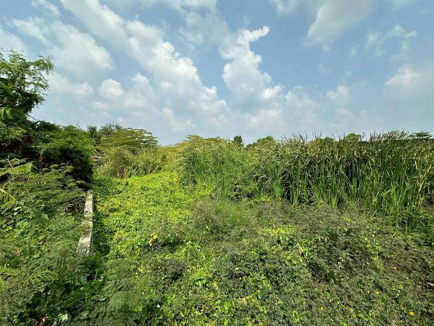 ที่ดินเปล่า เนื้อที่ 119 ตร.ว. ถนนฉลองกรุง แขวงลำปลาทิว เขตลาดกระบัง กรุงเทพมหานคร 4