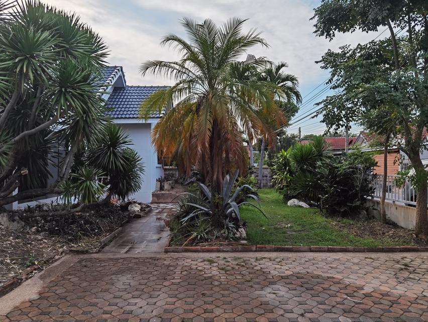 บ้านเดี่ยว จ.ลพบุรี หมู่บ้านเพชรโสธร 3 ห้องนอน 5 ห้องน้ำ พื้นที่ 200 ตารางวา 4