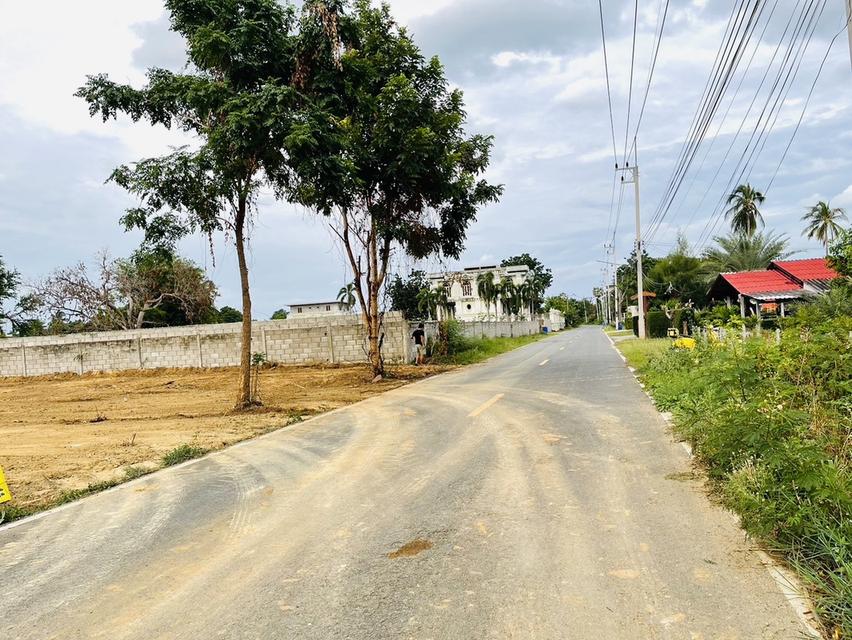 ที่ดินห่างทะเล 500 เมตร สามร้อยยอด ประจวบ เหมาะลงทุนหรือบ้านตากอากาศ 11