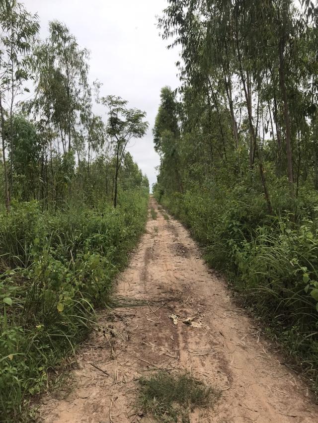 ขายที่ดิน 5