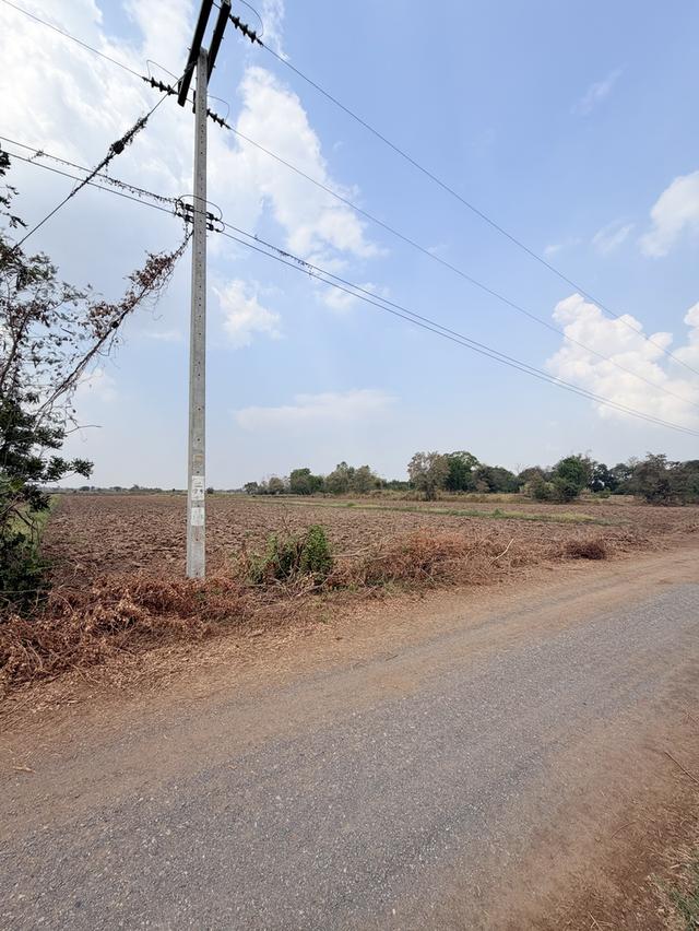 📍ขายที่นา 4ไร่ 3งาน 3.1ตารางวา หน้ากว้าง 40 เมตร น้ำไม่เคยท่วม มีไฟฟ้า น้ำปะปา  ติดถนน 5