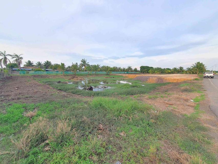 ขายที่ดินเกาะไร่ 2 ไร่(แบ่งขายได้)ใกล้ตลาดคลองสวน-8กม. อ.บ้านโพธิ์ จ.ฉะเชิงเทรา 1