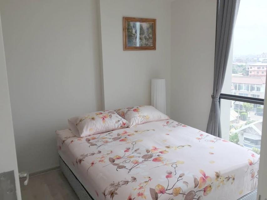 chambers chaan ลาดพร้าว วังหิน เช่า ห้อง One bed plus 1