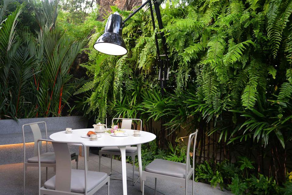 ให้เช่า Private Penthouse “Tree Villa Bangkok” วิลล่าท่ามกลางธรรมชาติ ใจกลางกรุงเทพ 8