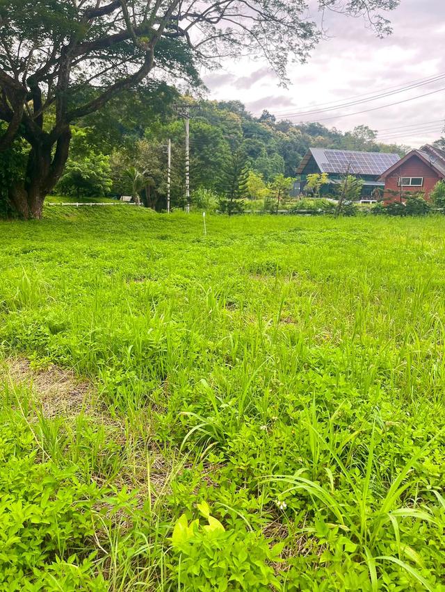 📣🏡 ที่ดินวิวดอย #บ้านปง อ.หางดง เชียงใหม่ 13
