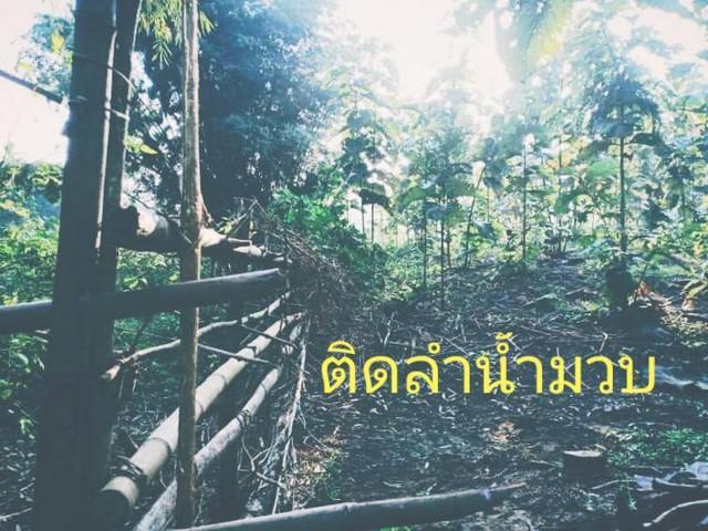 พรีเซ้นทรัพย์ทำเลทองใกล้สิ้นปี ขายที่ดินติดลำธารน้ำใสไหลริน ชุ่มฉ่ำตลอดปี สวยวิวล้าน 800000บาท 3-0-35ไร่ อำเภอสันติสุข น 1