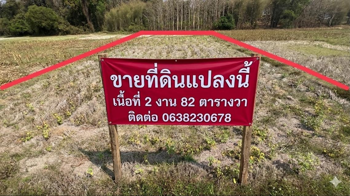 ที่ดิน(ที่นามีโฉนดครุฑแดง) 1