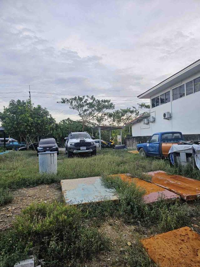 ให้เช่าพื้นที่ว่างเปล่า 100 ตรว. ถมแล้ว ซอยบงกช 69 คลอง2 คลองหลวง ปทุมธานี ใกล้แมคโคร ฟิวเจอร์ เช่า 12,000 บ./ด. ติดต่อ 0622826264 หมวย 1