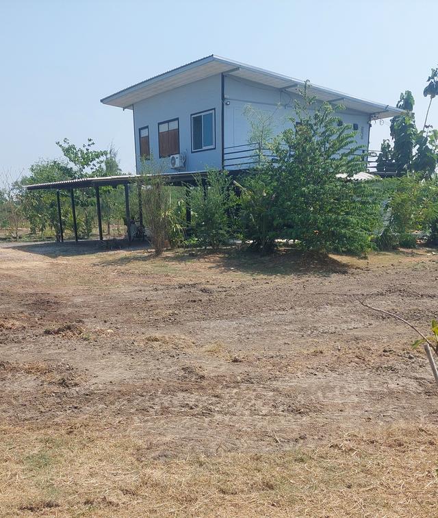 ที่ดินสองไร่พร้อมบ้านสวน 1