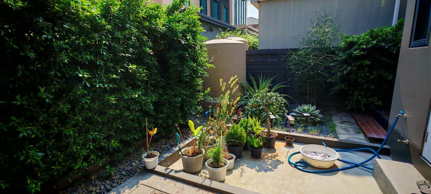 ขายบ้านเดี่ยว บุราสิริ พระราม 2 ทำเลดี บรรยากาศรีสอร์ท ใกล้ทางด่วน 6