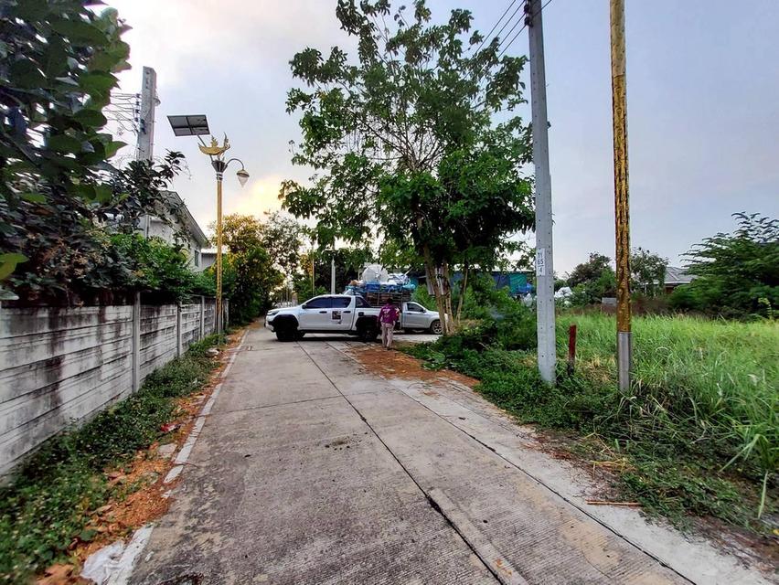 ขายด่วนที่ดิน 206 ตรว  ติดถนนคอนกรีต ซ.ลาดกระบัง 14/1 ราชาเทวะ บางพลี สมุทรปราการ 8
