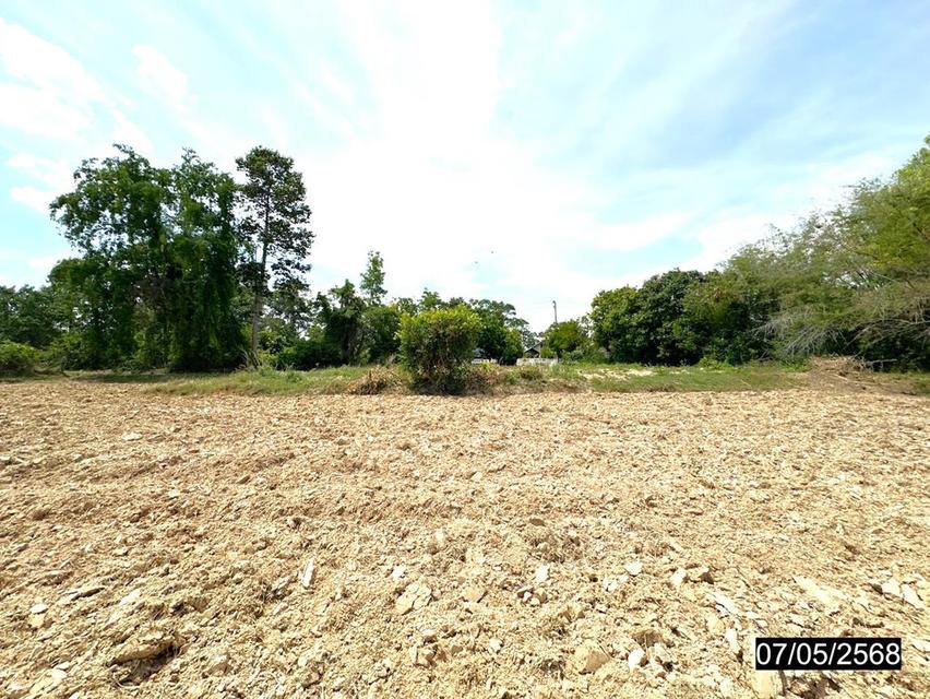 ที่ดินร้อยเอ็ด 8 ไร่กว่า ผืนใหญ่ ทำเลดี ติดถนนสายหลัก 6