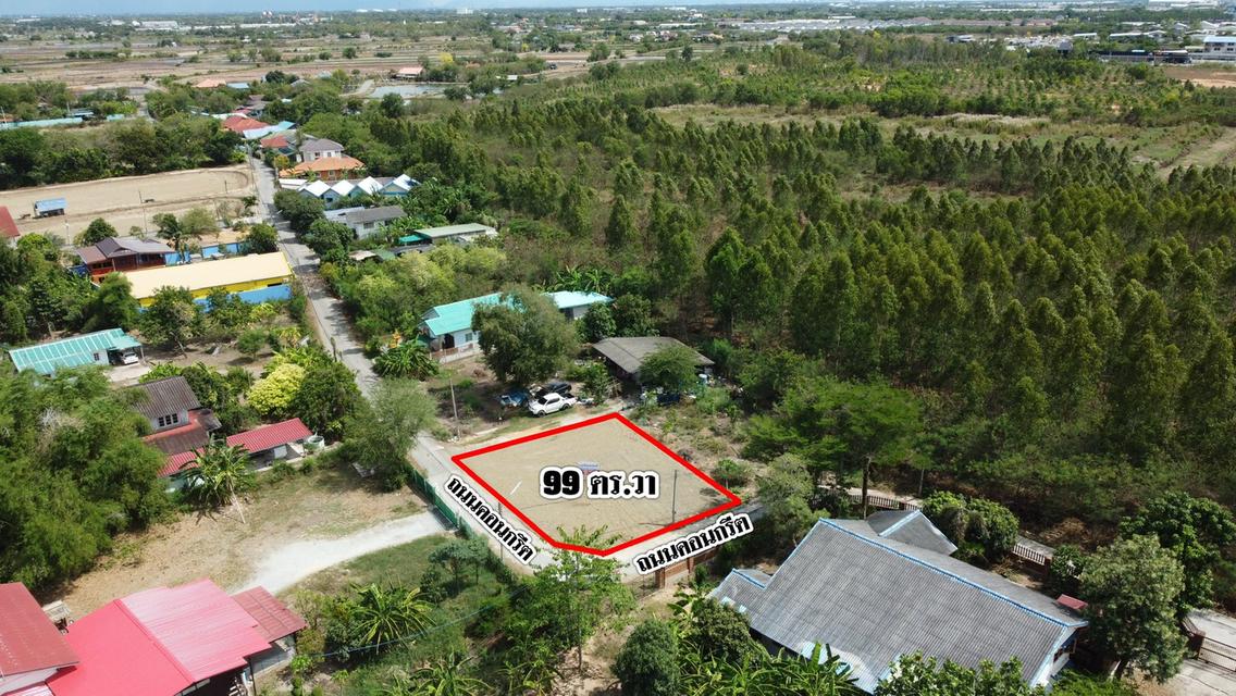 ขายที่ดินบางพระ แปดริ้วถมแล้ว 99 ตรว. ถ.ซอยยายจำปีใกล้ถนนสิริโสธร314-200เมตร เมืองฉะเชิงเทรา 4