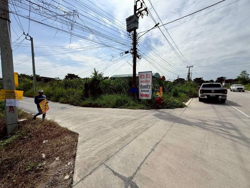 Vายด่วนที่ดินบ้านใหม่ 199 ตารางวาทติดถนนลาดยาง มีไฟฟ้า 3 เฟส ซอย เคหะ-บ้านใหม่ 21 อ.บางใหญ่ จ.นนทบุรี 9