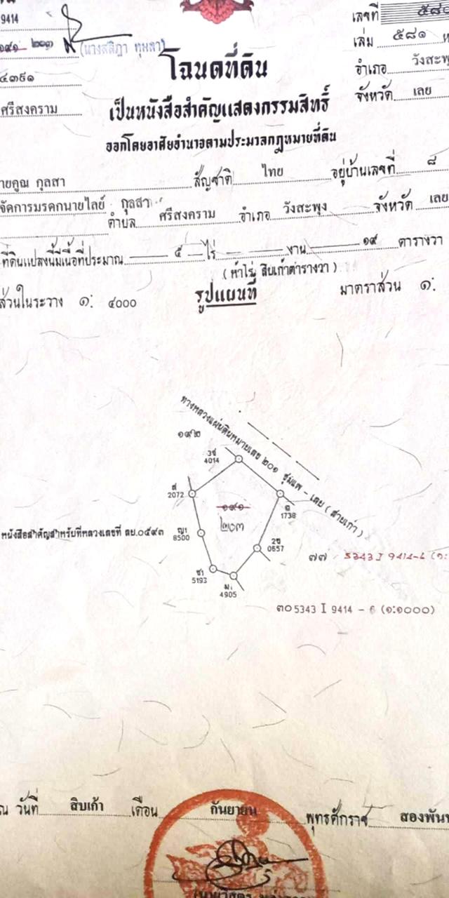 ขายที่ดินราคาถูก 5ไร่ 19 ตารางวา ติดถนน4เลนทำเลดี วังสะพุง จังหวัดเลย 8