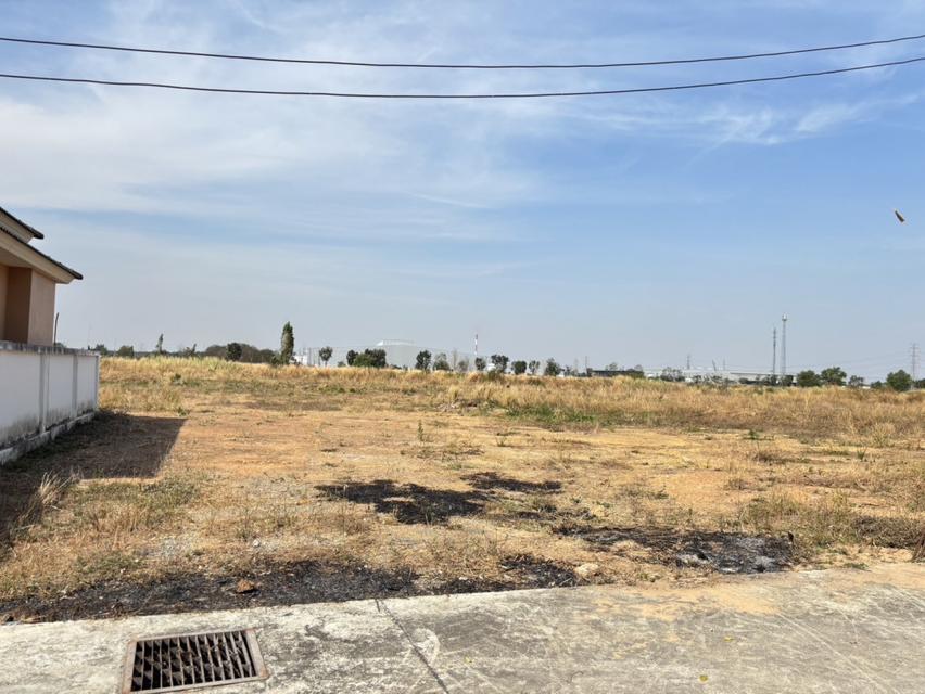 ขายที่ดินผังสีม่วง อุตสาหกรรม | ศรีมหาโพธิ ปราจีนบุรี โอกาสหายากในโซนศักยภาพ EEC 3