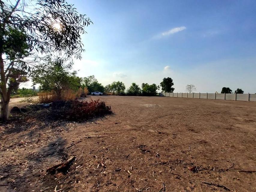 ขายที่ดินคลองห้า 2 ไร่ แปลงมุม ถมแล้ว ติดถนนคอนกรีต ซอย กลั่นกรอง อ.คลองหลวง จ.ปทุมธานี 8