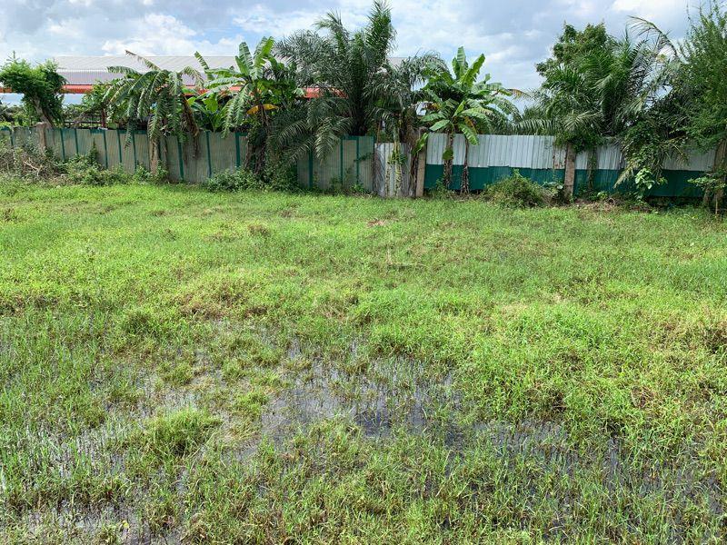 ขายที่ดินเปล่า ทำเลดี อำเภอกาญจนดิษฐ์ จังหวัดสุราษฎร์ธานี 7