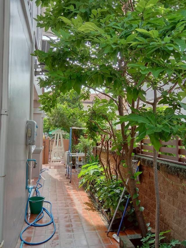 ขายบ้านเดี่ยว‼️พื้นที่63ตารางวา 🛏️ 3 ห้องนอน +1ห้องอเนกประสงค์( Multi Purpose Room)+ 3ห้องน้ำ พื้นที่จอดรถยนต์ในบ้าน2คัน 🚘🚘ถนนเมนหน้าบ้านกว้าง 9