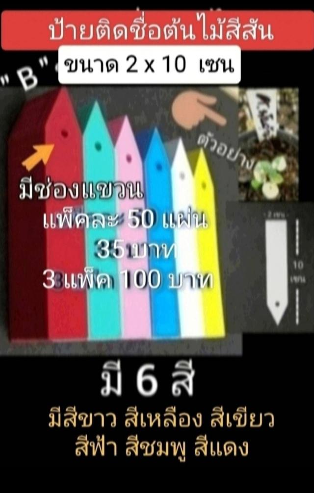 ป้ายติดชื่อต้นไม้สีสัน